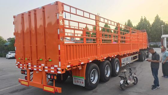 -Spot Semi-Relógio gado ovelhas cavalos transporte