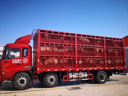 Reboque de caminhão para transporte de gado 3 eixos 20-40 toneladas Alto Semi-reboque de vedação