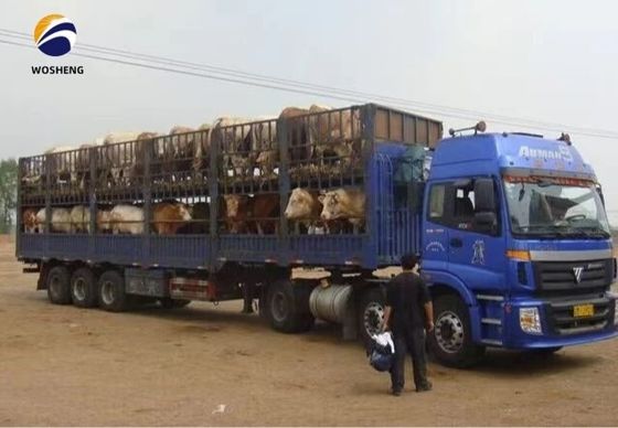 3 eixos 20-60tons High Fence Semi-Trailer com SAF Two Speed 28t Heavy Duty Landing Gear